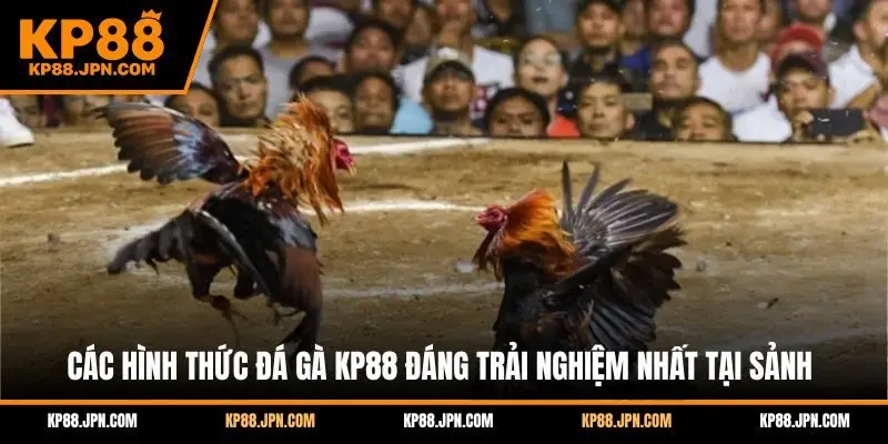 da-ga-kp88-cac-hinh-thuc