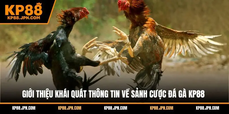 da-ga-kp88-gioi-thieu